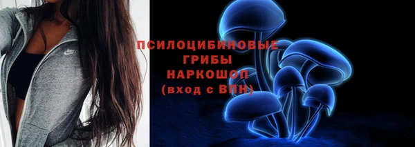 герыч Новозыбков