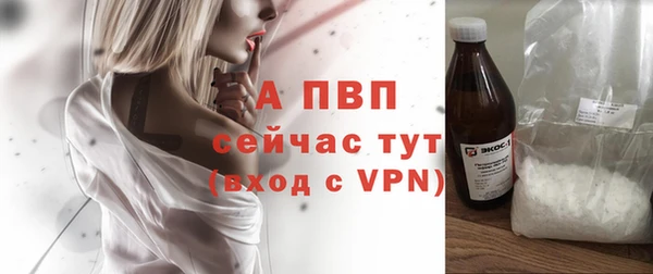 PSILOCYBIN Абаза