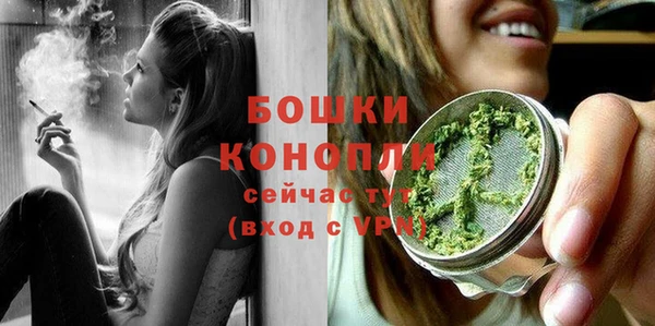 PSILOCYBIN Абаза