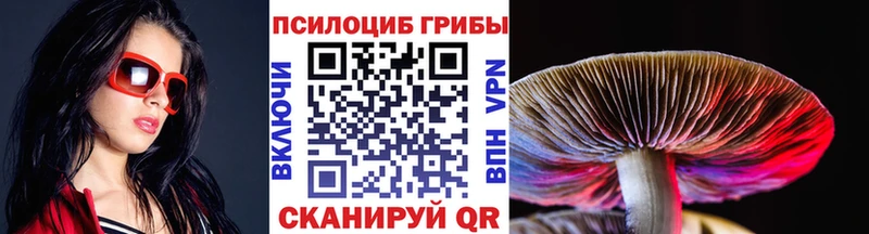 Галлюциногенные грибы MAGIC MUSHROOMS  купить наркоту  Спас-Клепики 